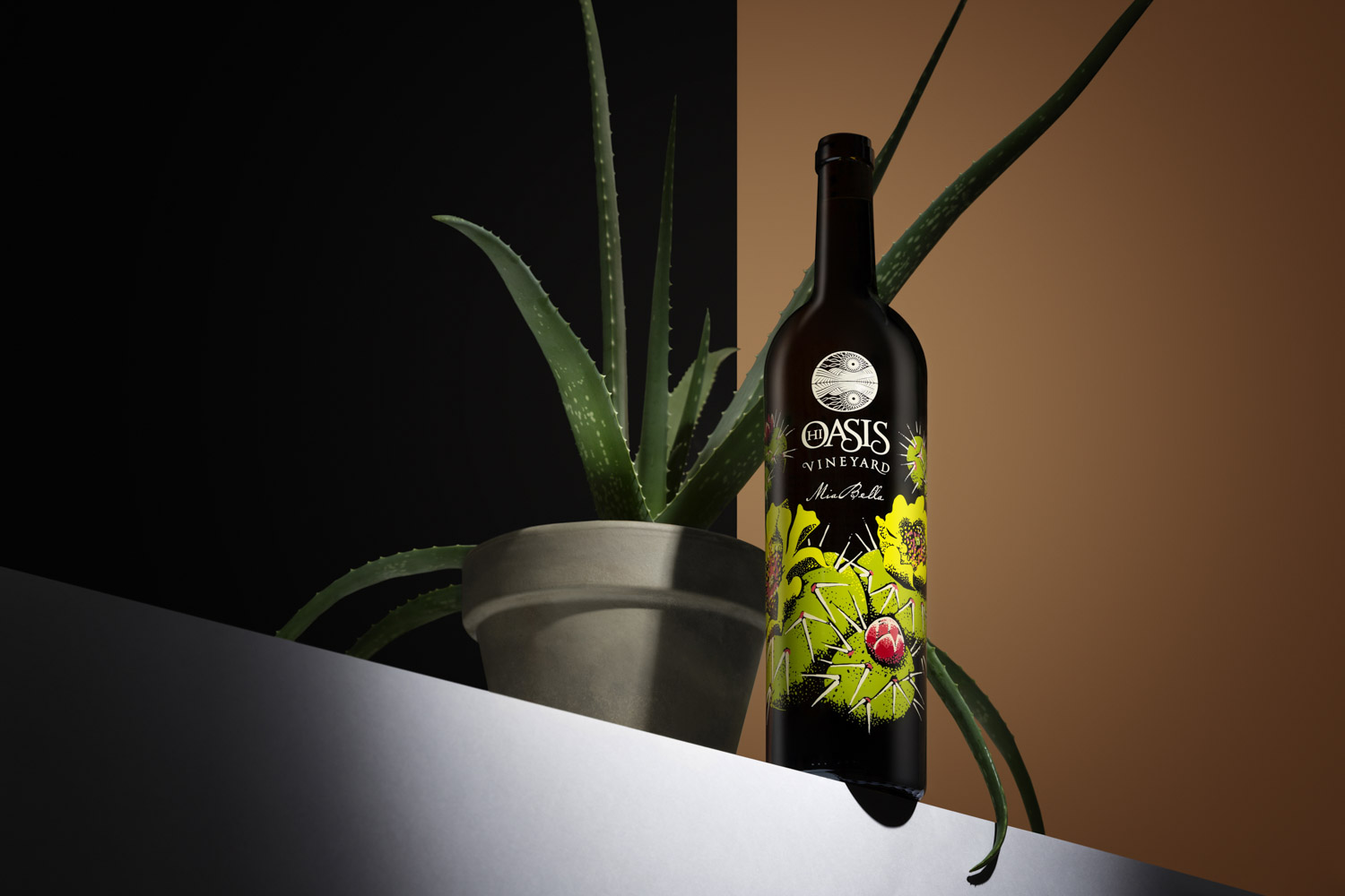 Weinflasche-neben-einer-Aloe-pflanze
